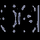 EUROSPORT HD [ICE] logo