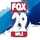 FOX 29 WEST PALM BEACH FL (WFLX) [USA] logo