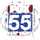 FOX 55 FORT WAYNE IN (WFFT) [USA] logo