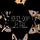 TY| VIVIR CON GATOS ᴿᴬᵂ logo