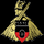 DONCASTER ROVERS [UK] logo