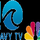 NBC 10 PORTSMOUTH VA (WAVY) [USA] logo