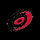 CAROLINA HURRICANES [TEAM] logo