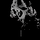 ITUNES FAYROUZ [AR] logo