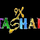 9X TASHAN [IN] logo
