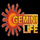 GEMINI LIFE [TELUGU] logo