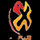 ANIPLUS CHANNEL [PH] logo