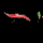 RENGONI [ASSAM] logo