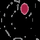 ZOOM TV [IN] logo