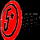 CANAL 5 HD [HO] logo