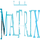 THE MATRIX [DE] logo