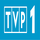 TVP 1 RAW [PL-VIP] logo