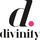 DIVINITY FHD [ES] logo