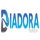 DIADORA TV RAW [HR] logo