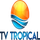 HT| TROPICAL GROOVE logo