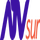 ATV SUR [DO] logo