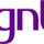 GNT RAW [BR] logo