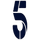 CH5  RAW [M+] logo