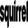 SQUIRREL RAW [M+] logo