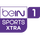 AR| BEIN SPORTS 1 XTRA HEVC logo