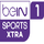 BEIN SPORTS XTRA 1 480 [AR] logo