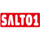 SALTO1 (AMSTERDAM) RAW [OD] logo