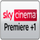 SKY STORE PREMIERE 1 [UK] logo