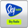 SKY AKSION [KO] logo