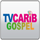 GOSPEL MUSIC 4U [AF] logo