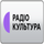 INDIA VOICE [IN] logo