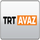 TTV (NA) [TWN] logo