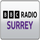 BBC HISTORY RAW AMZ [DE] logo