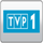 TVP 1 RAW [PLAY+] logo