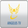 NEXUS TV [BAN] logo