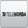 TELEFORMULA [MX] logo