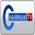 HONARMANDAN TV [IR] logo