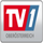 TV ONE [ID] logo