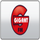 NESN PLUS HD [USA] logo